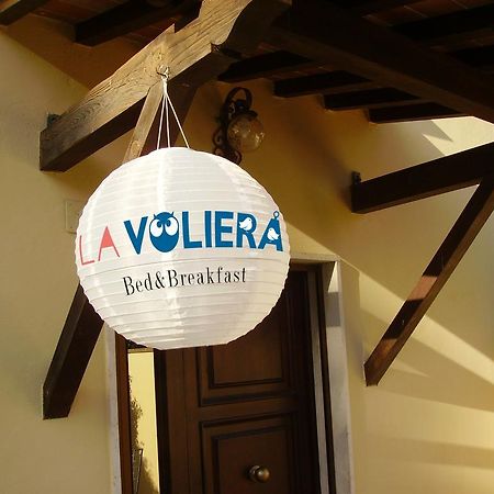 La Voliera Bed & Breakfast Pisa Dış mekan fotoğraf